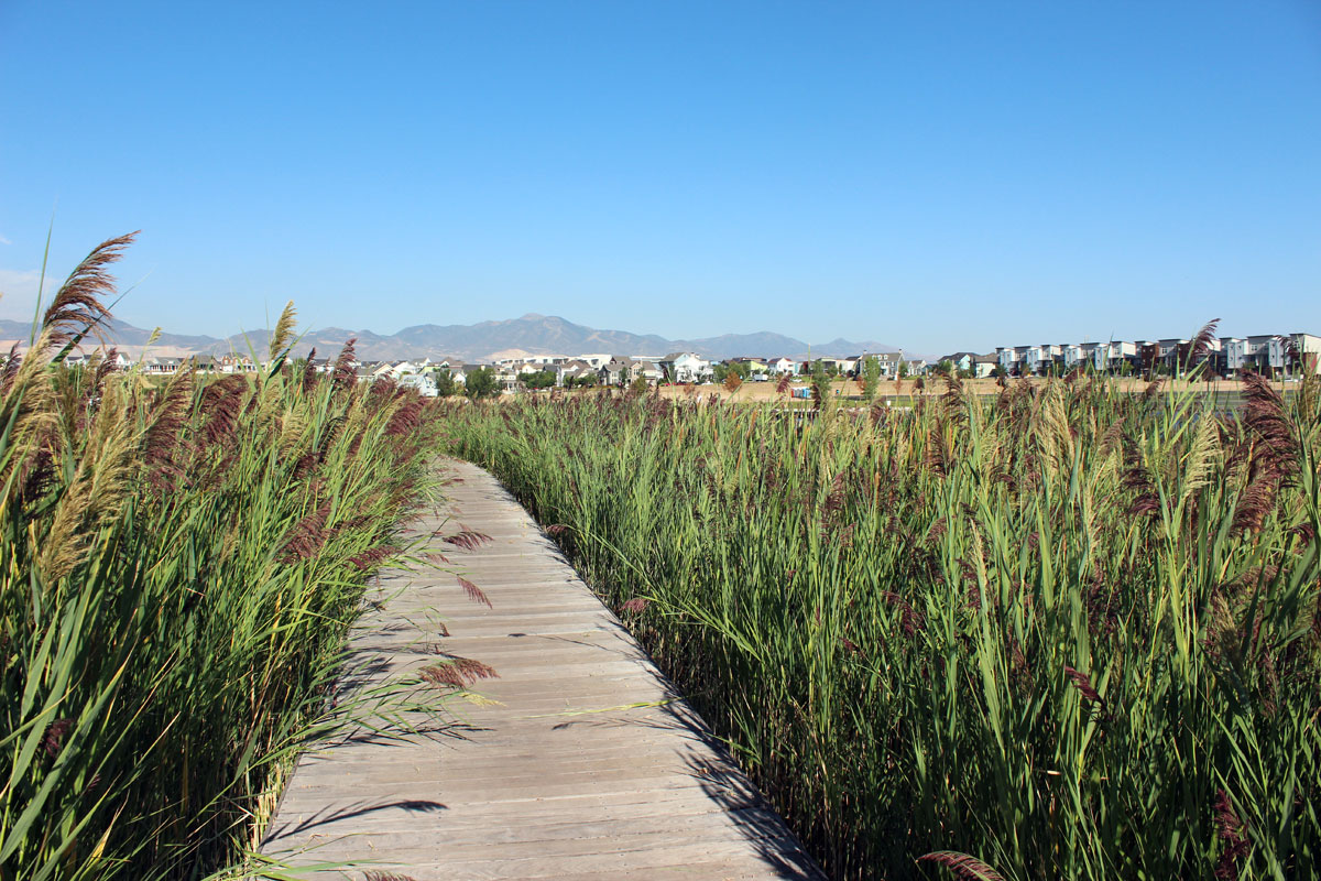 Boardwalk Oquirrh Lake