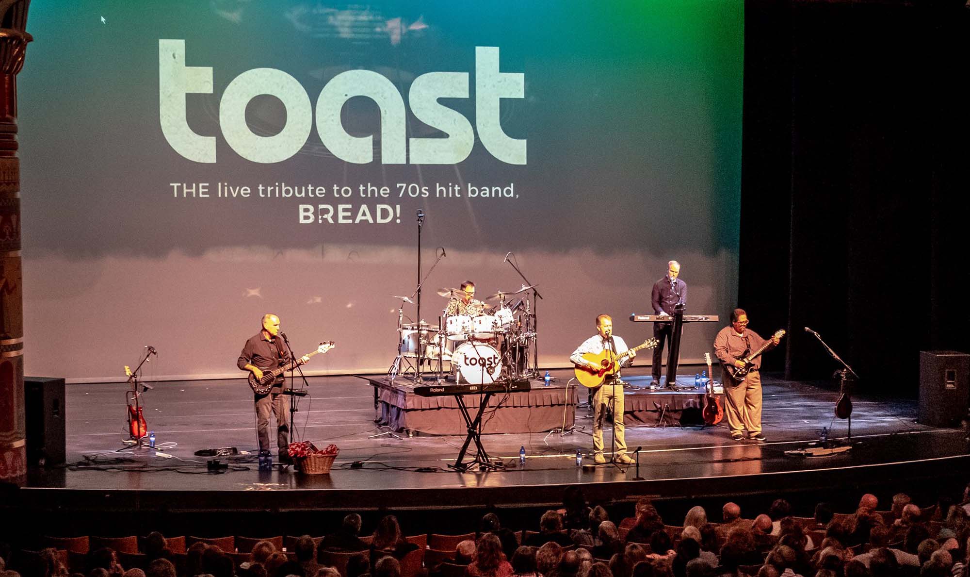 Toast Bread Cover Band performing live